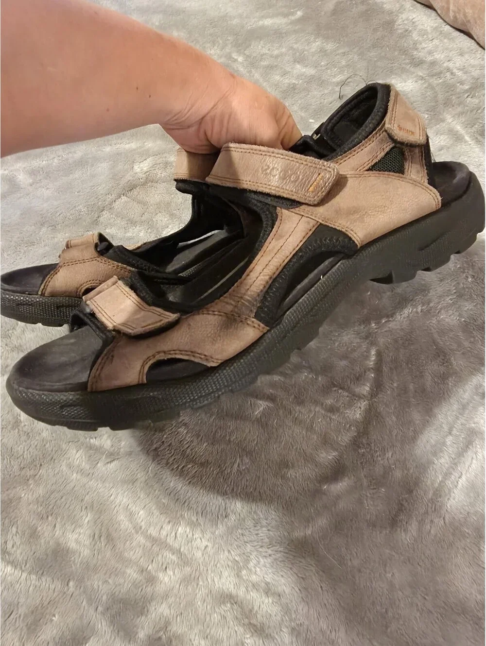 Ecco onroads magnet
